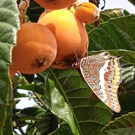 Maison d'hôtes Alfaro'95 Azambuja