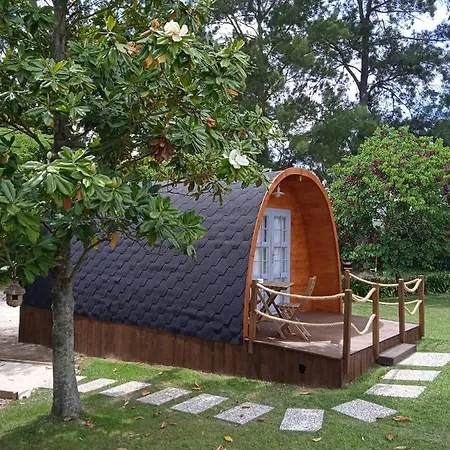Alfaro'95 Guest house Azambuja
