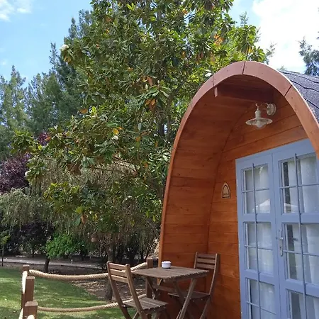 Alfaro'95